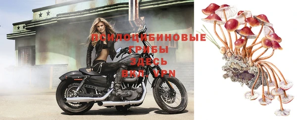 скорость Козельск