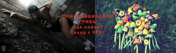 MDMA Premium VHQ Козловка